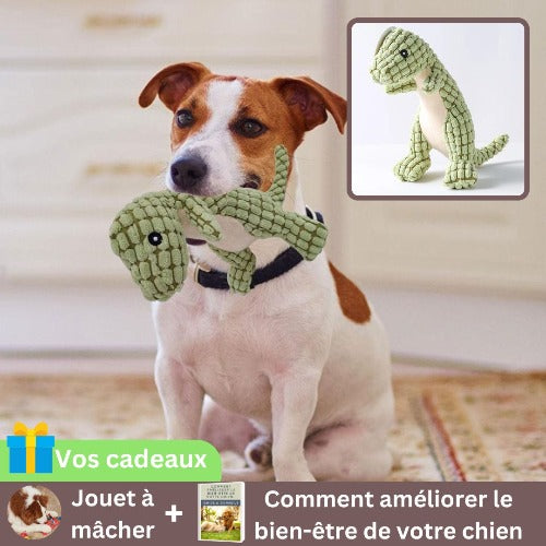 peluche-pour-chien-vert-antistress