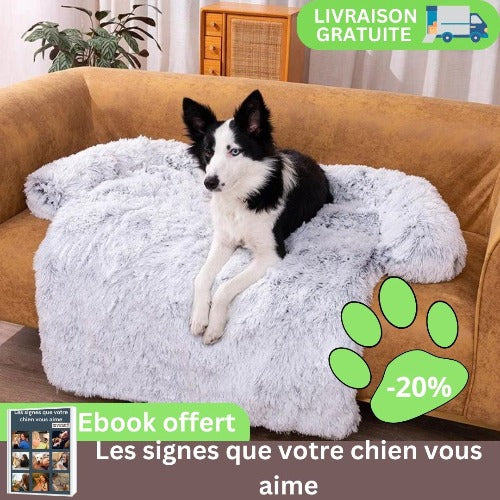 protege-canape-gris-couchage-chien