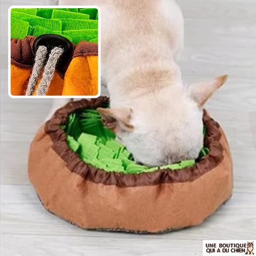 tapis-de-fouille-chien-alimentation