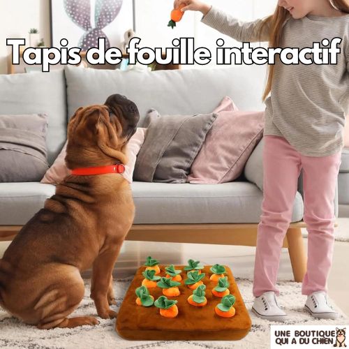 tapis-de-fouille-chien-jouet-interactif