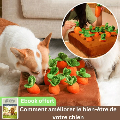 tapis-de-fouille-chien-peluche-interactif