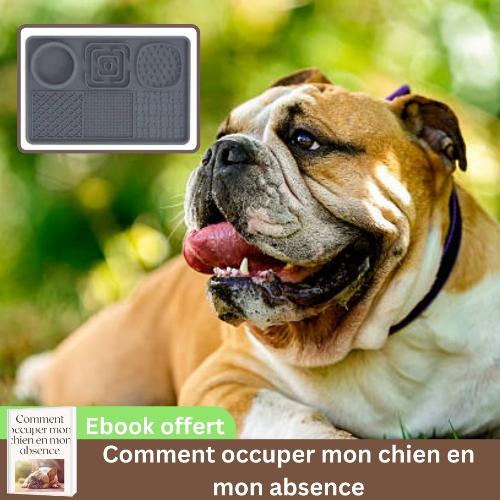 tapis-de-léchage-chien-gris-antiglouton