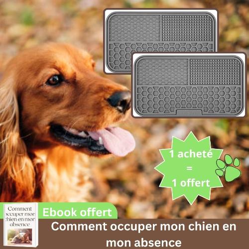 tapis-de-léchage-chien-gris-digestion