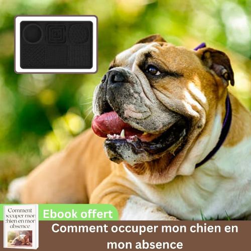 tapis-de-léchage-chien-noir-antiglouton