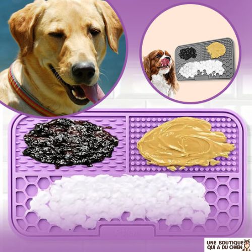 tapis-de-léchage-chien-repas-gourmand