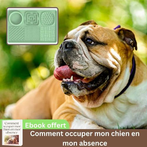 tapis-de-léchage-chien-vert-antiglouton