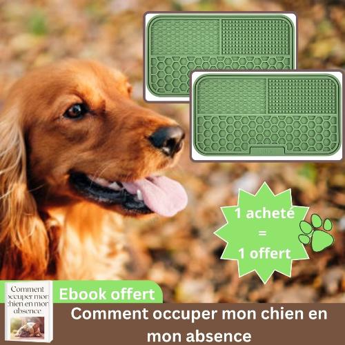 tapis-de-léchage-chien-vert-digestion