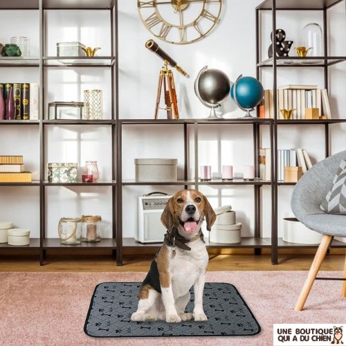 tapis-chien-imperméable-confortable-absorbant