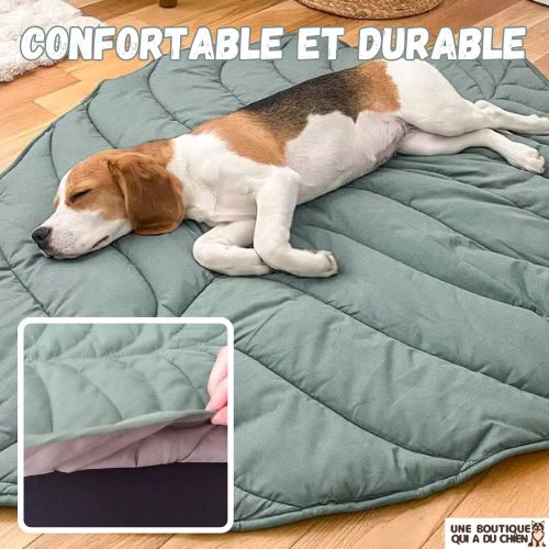 tapis-pour-chien-confortable-durable