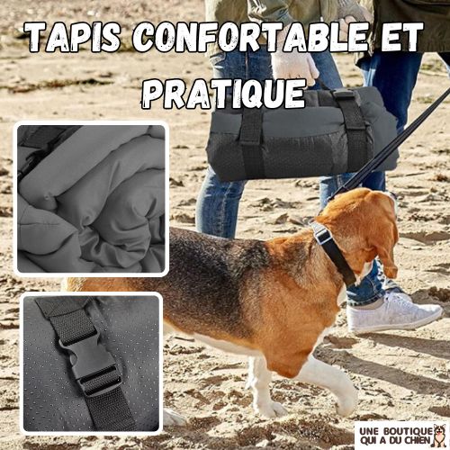 tapis-pour-chien-confortable-pratique