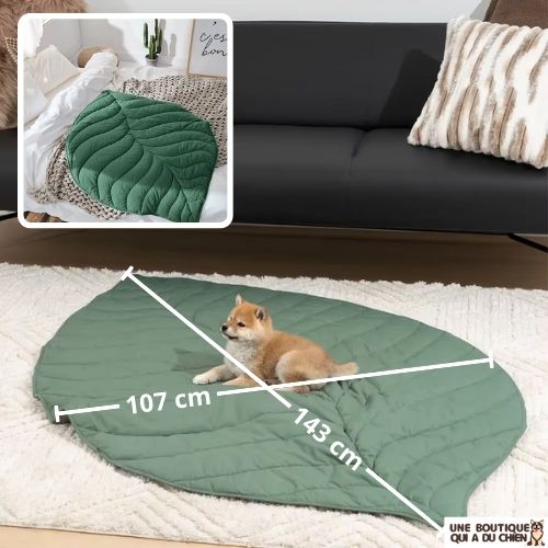 tapis-pour-chien-grand-couverture