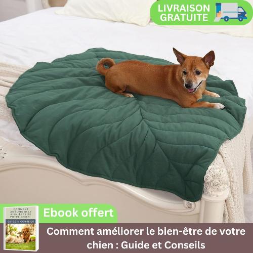 tapis-pour-chien-lit-couverture