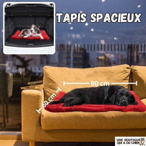 tapis-pour-chien-spacieux-pratique