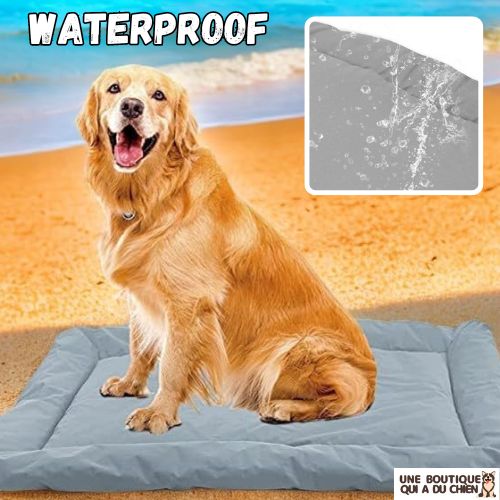 tapis-pour-chien-waterproof-plage