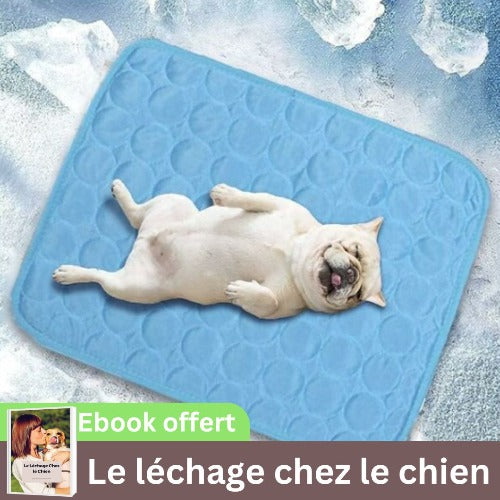 tapis-rafraichissant-chien-fraicheur-respirant