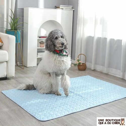 tapis-rafraichissant-chien-grand-chien